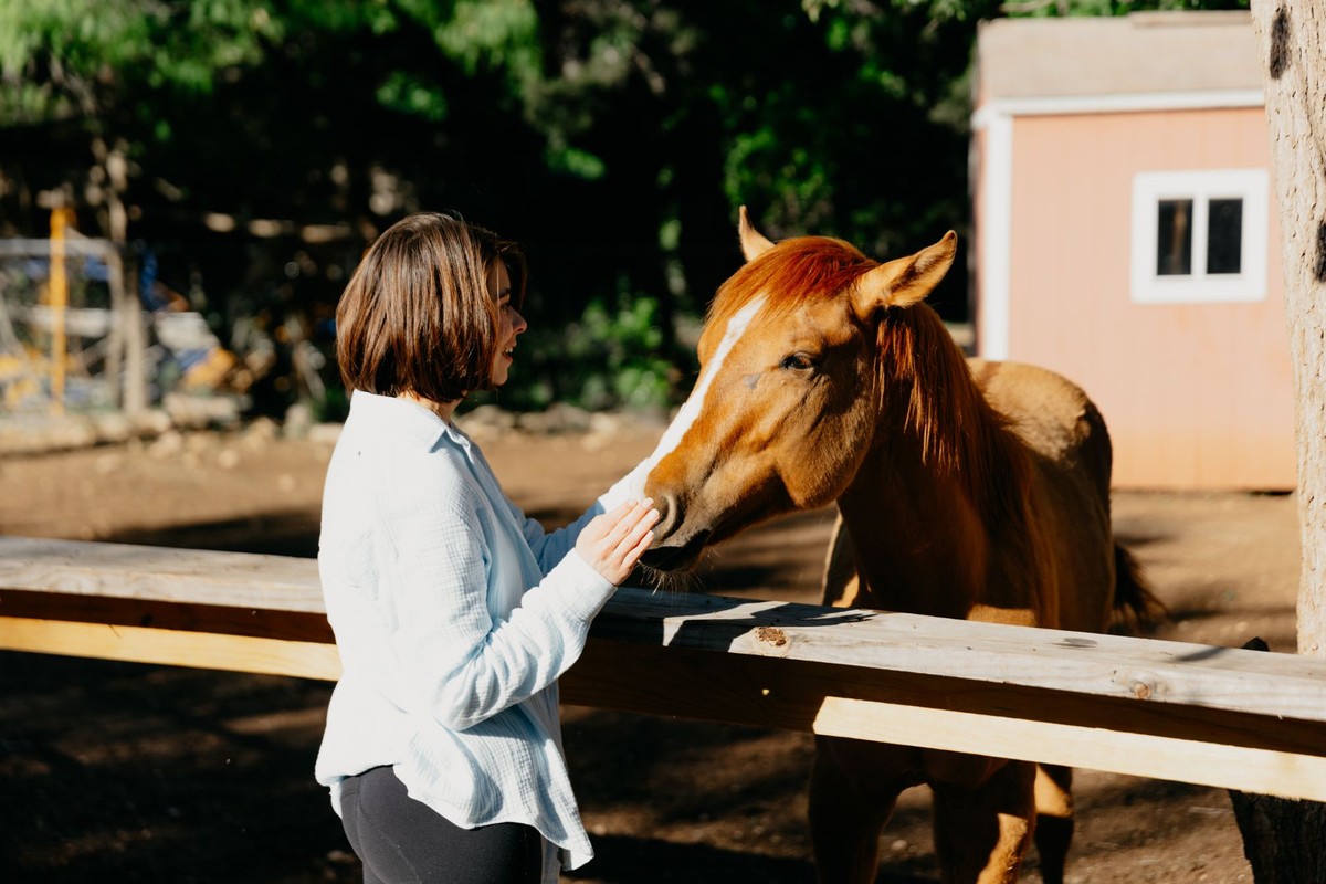 Holistic Healing at Small Acres Ranch, Bexar County, TX